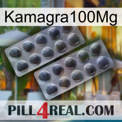 Kamagra100Mg 31